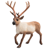 Toy School Reindeer